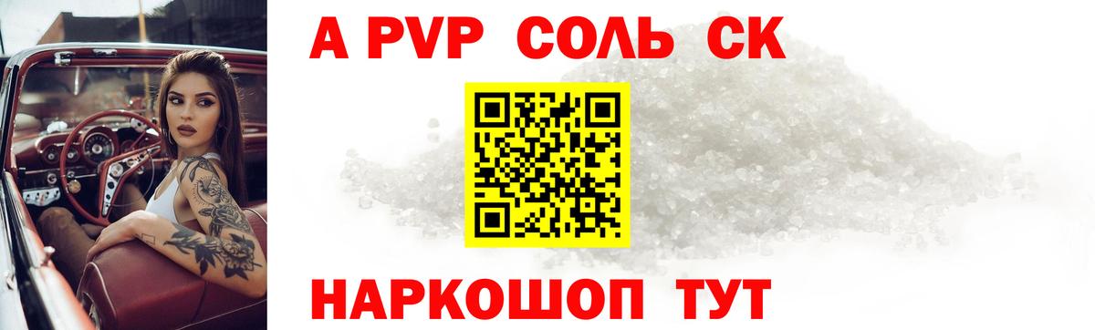 A-PVP СК Гатчина