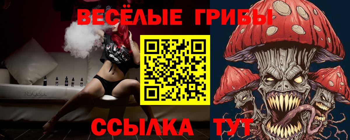 Псилоцибиновые грибы Psilocybe Гатчина