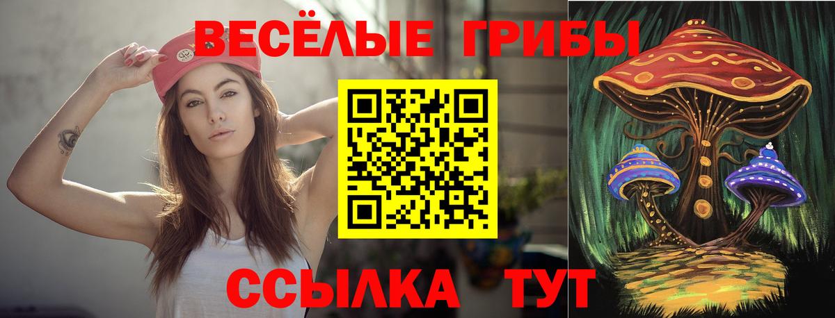 Галлюциногенные грибы Psilocybe  Псилоцибиновые грибы Cubensis  Вход с VPN  Гатчина 