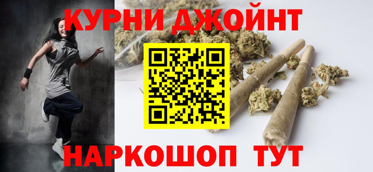 Конопля план Гатчина